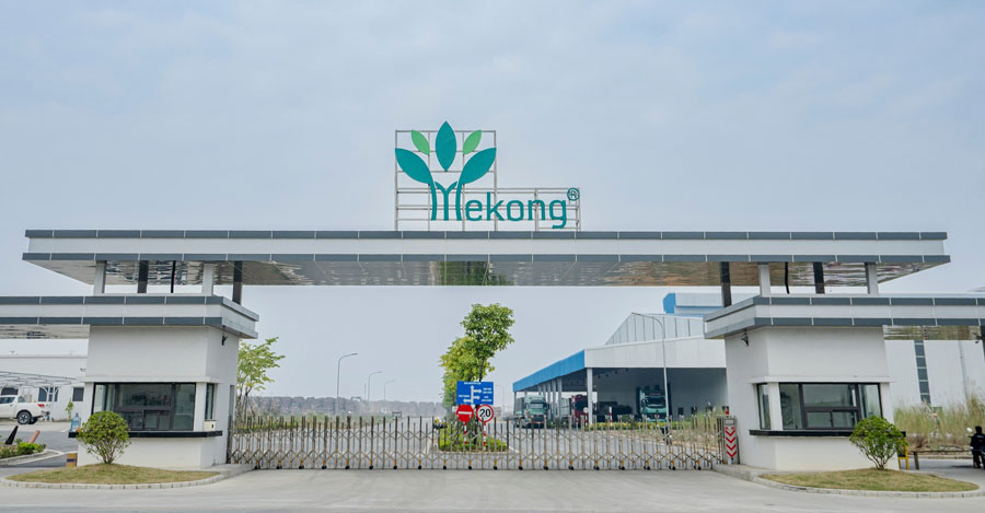 Nhà máy sản xuất ván MDF Mekong tại Phú Thọ